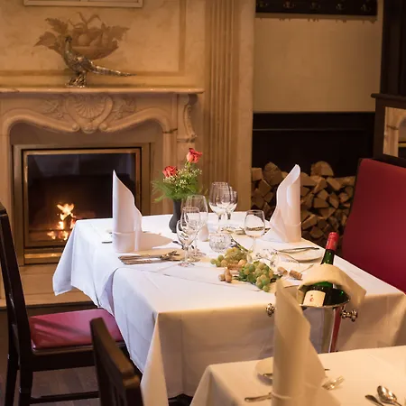 Goldener Löwe Hotel Meißen