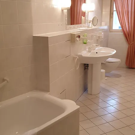 Hotel Goldener Loewe