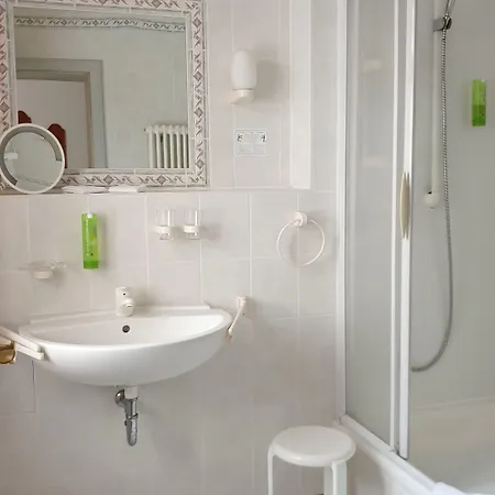 Goldener Loewe Hotel 4*