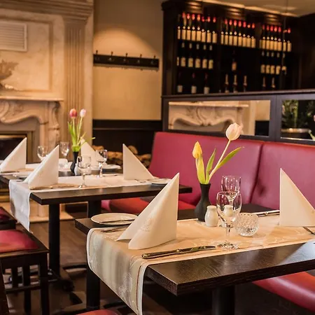 Hotel Goldener Loewe 4*