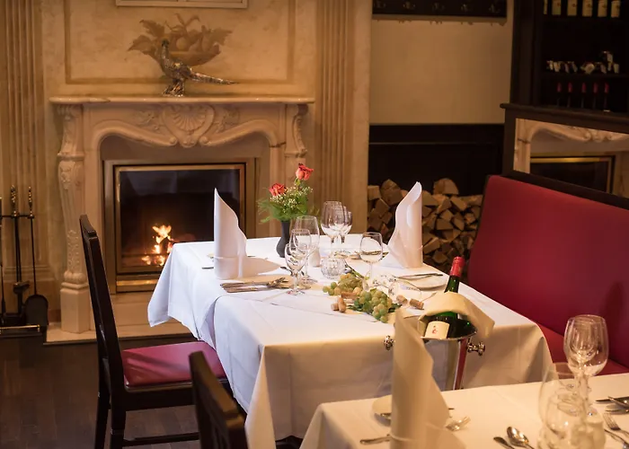 Goldener Loewe Hotel Meißen