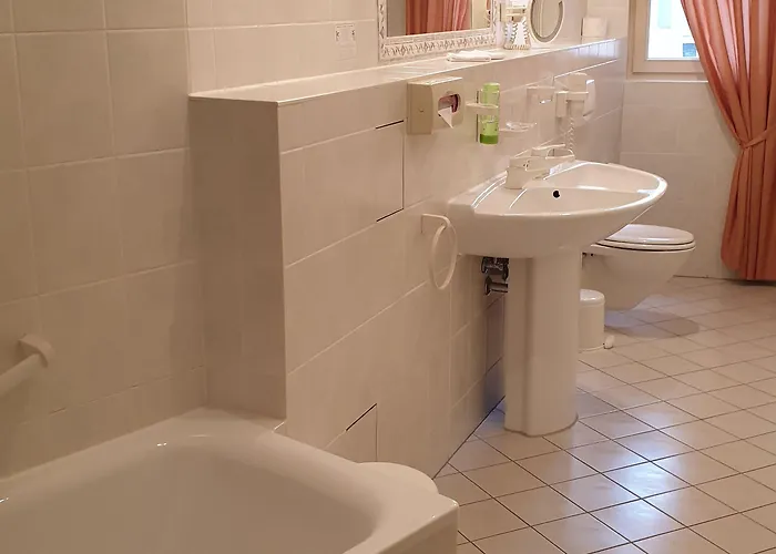 Hotel Goldener Loewe