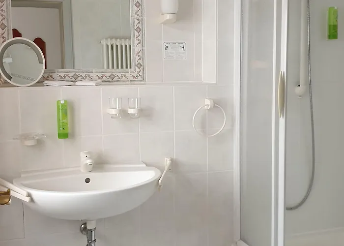 Goldener Loewe Hotel 4*